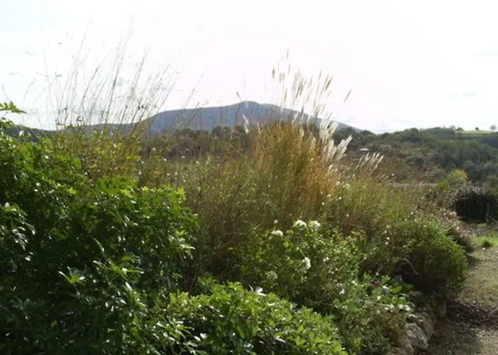 Maison Anderetea Bed & Breakfast Mendionde